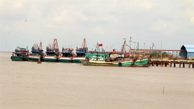 Fishing boats in Ben Tre province. (Photo: VNA)