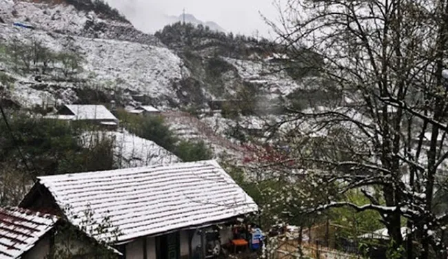 This year's winter came relatively early, with cold spells from the beginning of the season in November. (Illustrative image)