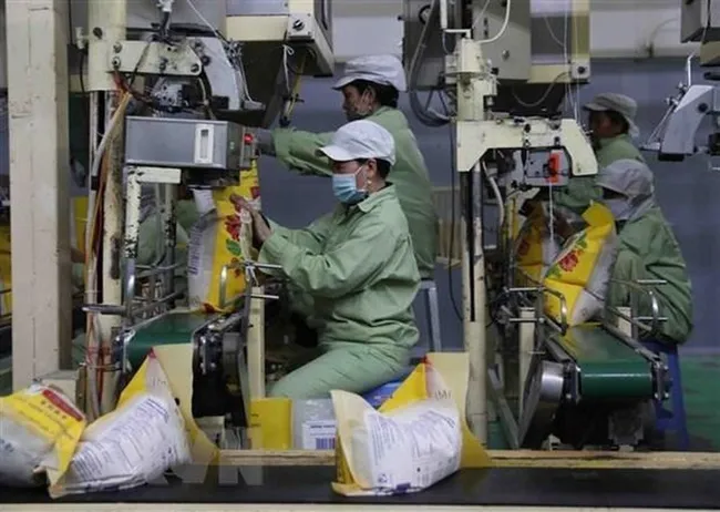 A rice processing plant in Vietnam. (Photo: VNA)