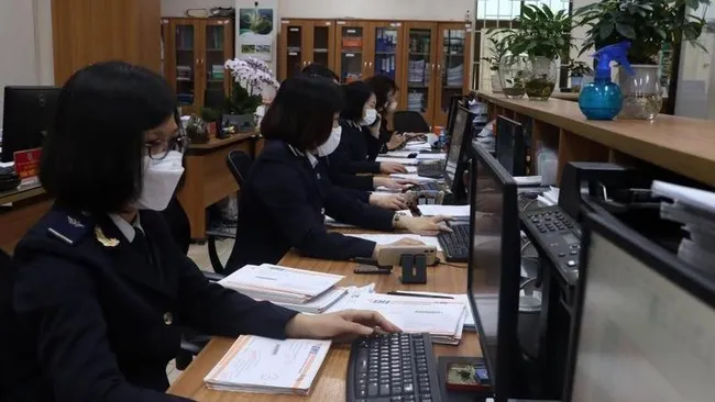 Officers at the Hai Phong Customs Department. (Photo: NDO)