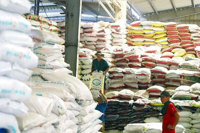 Fertiliser packages are loaded for export (Photo: baodautu.vn)