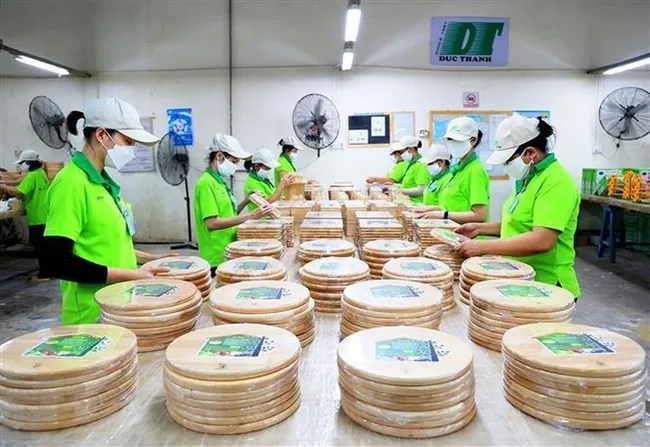 Vietnam has witnessed a rapid recovery in the post-pandemic period. (Photo: VNA)