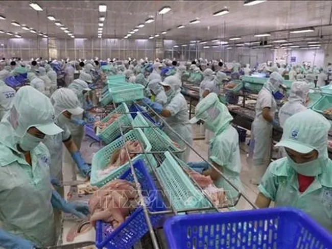 Illustrative image (Photo: VNA)