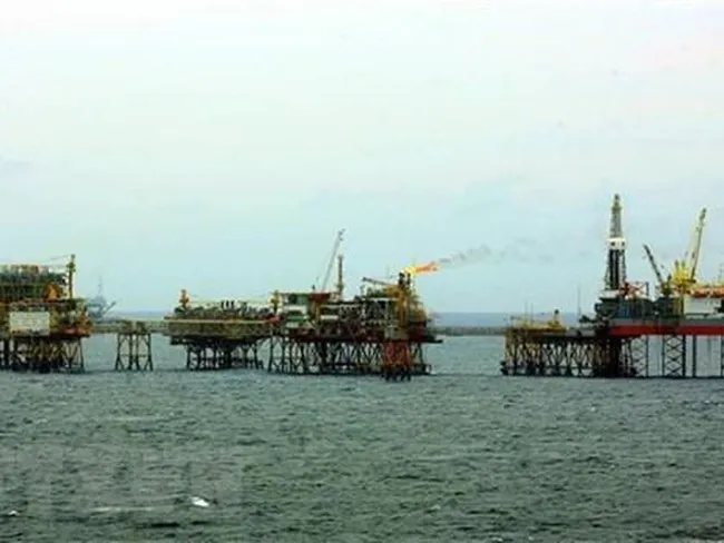 Rigs of the Vietnam Oil and Gas Group in the Bach Ho oil field (Photo: VNA)