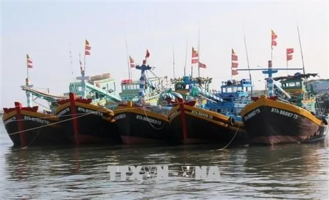 Vietnam's fishing vessels (Photo: VNA)