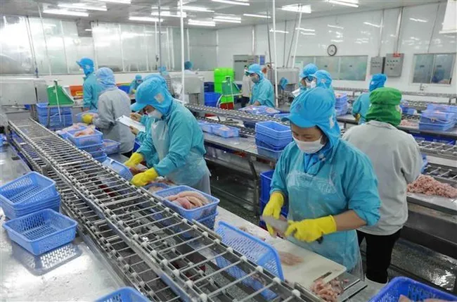 A seafood processing plant in Can Tho. (Photo: VNA)