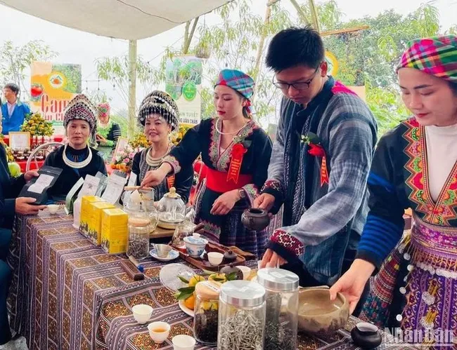 Yen Bai receives geographical indication certificate for Suoi Giang Shan Tuyet tea (Photo: NDO)