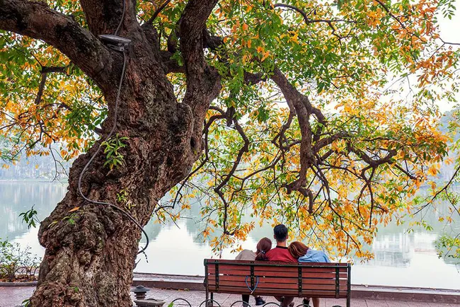 Hoan Kiem Lake in late spring. Photo: Le Duc Kim
