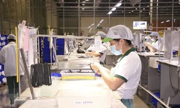 Workers of Uchyama Vietnam Co., Ltd at the VSIP 2A Industrial Park in Binh Duong. (Photo: VNA)