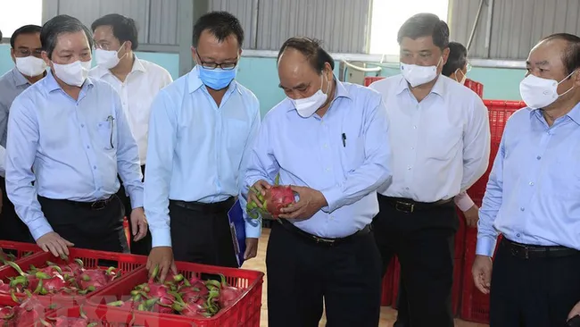 President Nguyen Xuan Phuc visited and encouraged some typical cooperative models in Tien Giang province. (Photo: VNA)