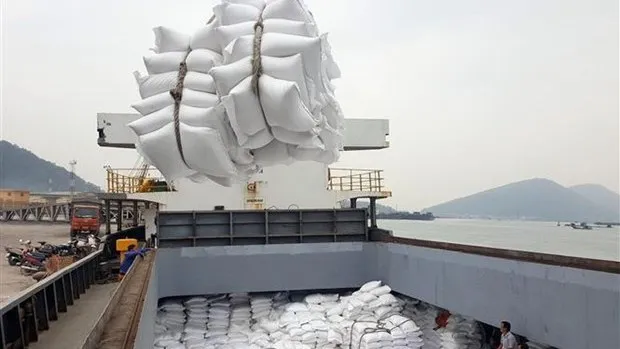 Ministry of Industry and Trade clarifies tariff quotas for rice, dried tobacco leaves imported from Cambodia. (Photo: VNA)