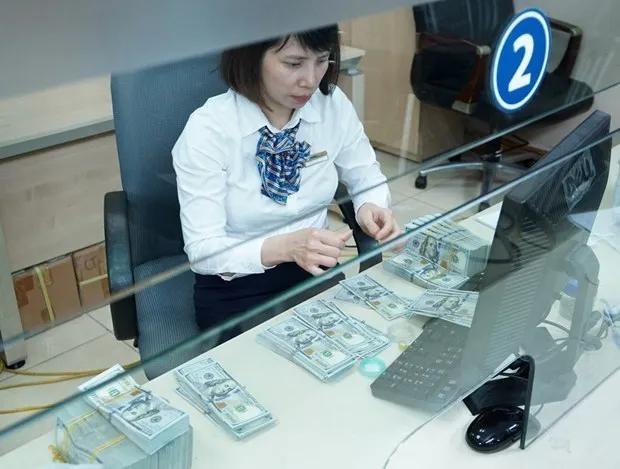 Illustrative image (Photo: VNA)