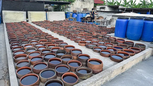 Sa Chau fish sauce - specialty condiment of Nam Dinh province (Photo: vietnamnet.vn)