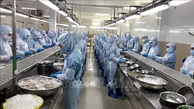 Vietnam posted 27.88 billion USD worth of agro-forestry-fishery exports in the first half of this year. (Photo: VNA)