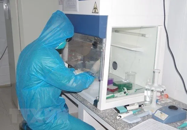 COVID-19 testing (Photo: VNA)