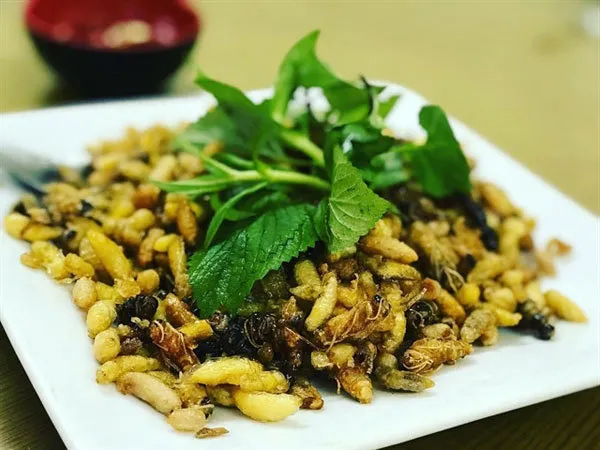 Roasted pupae have a great and unique taste. (Photo cattour.vn)