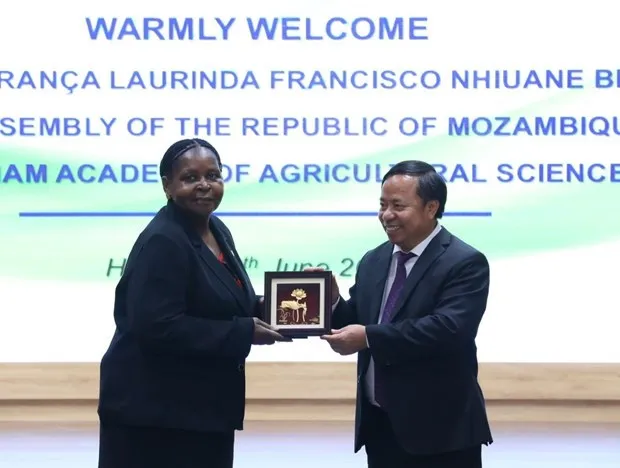 VASS Director Nguyen Hong Son (R) and Mozambican Assembly Speaker Esperanca Laurinda Francisco Nhiuane Bias (Photo: VNA)