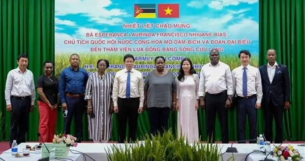 Mozambican guests visit the the Cuu Long Delta Rice Research Institute (CCRRI) (Photo: VNA)