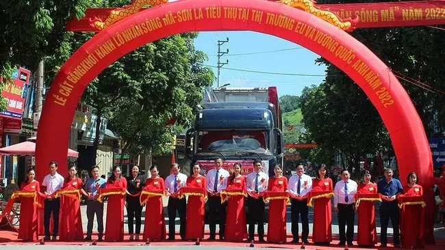 The ceremony to launch the export of Song Ma longan to the EU and the UK.