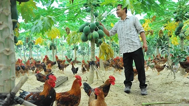 The poverty rate in 2021 fell against a year earlier thanks to the effective implementation of social security policies. (Photo: Nguyet Anh)