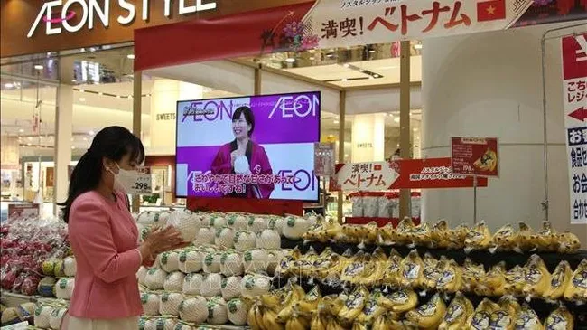 Vietnamese goods on sale at a supermarket in Japan. (Photo: VNA)