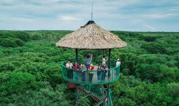 Ho Chi Minh City's Can Gio attractive to tourists (Photo: vntrip.vn)