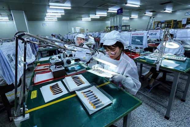 Electronic circuit boards being tested at a factory in Bac Ninh province. (Photo: VNA)