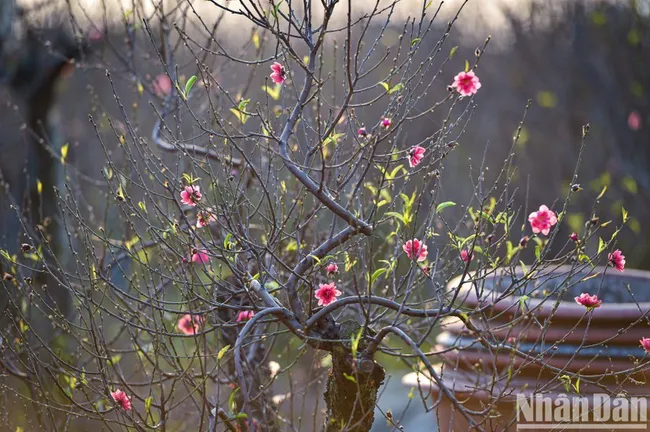 State employees will have a total of 19 days off for public holidays next year.