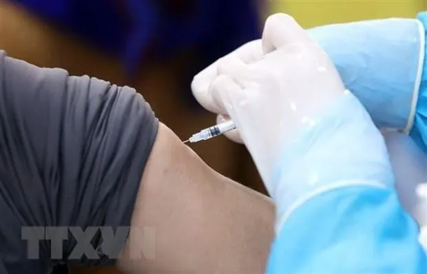 Illustrative image. (Photo: VNA)