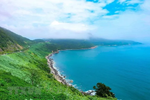 Part of Son Tra Peninsula in Da Nang city (Photo: VNA)
