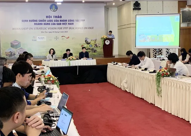 The conference on the rice PPP task force.