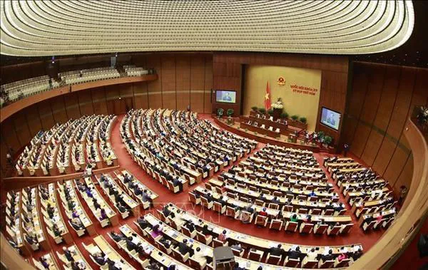 An overview of the NA's fifth plenary session (Photo: VNA)