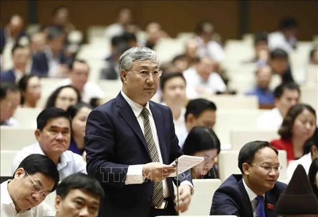 Deputy Tran Van Lam from Bac Giang province (Photo: VNA)