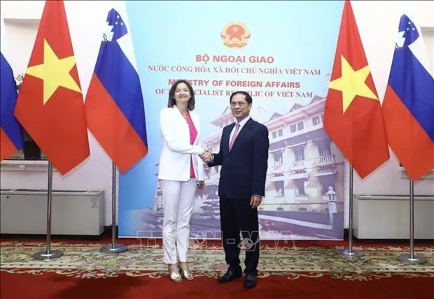 Foreign Minister Bui Thanh Son (R) and Deputy Prime Minister and Minister for Foreign and European Affairs of Slovenia Tanja Fajon. (Photo: VNA)