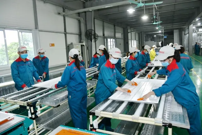 As of December 31, 2021, Vietnam has 694,200 domestic private enterprises (Photo: VnEconomy)