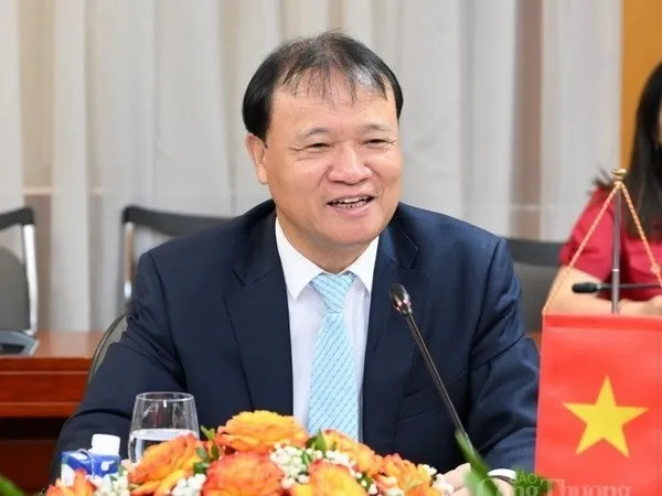 Deputy Minister of Industry and Trade Do Thang Hai. (Photo: VNA)