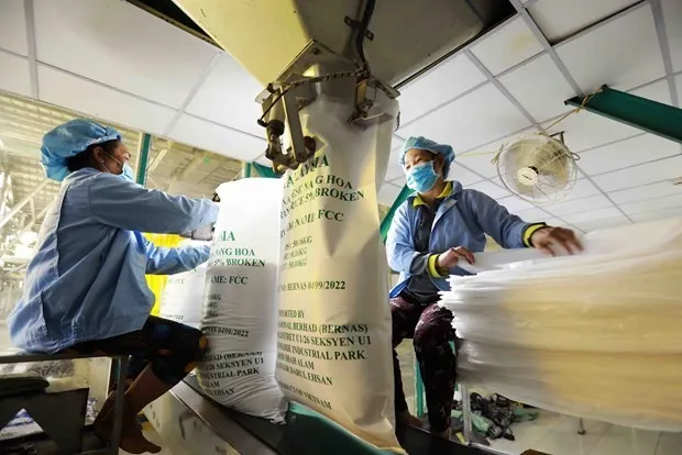 Workesr pack rice for export. (Photo: VNA)