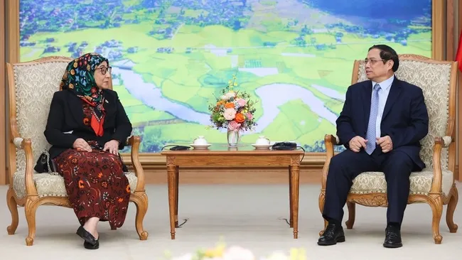 Prime Minister Pham Minh Chinh receives Ambassador of Brunei to Vietnam, Datin Paduka Malai Hajah Halimah Malai Haji Yussof, in Hanoi on July 6. (Photo: VOV)