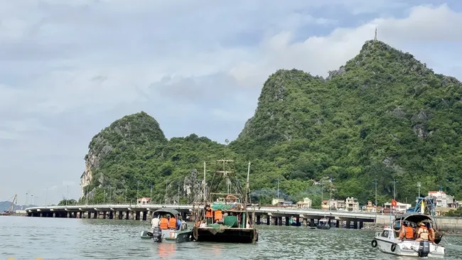 Ha Long authorities re-arrange docking areas for water vehicles (Photo: baoquangninh.vn)