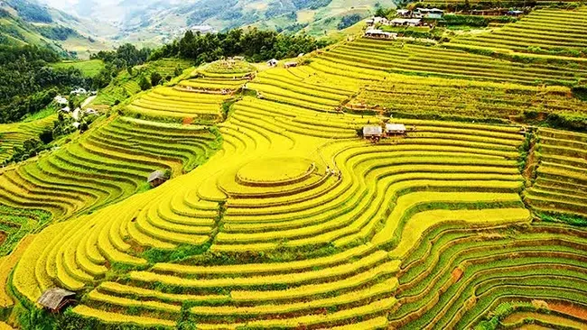 Mam Xoi Hill in La Pan Tan Commune, Mu Cang Chai District, Yen Bai Province.