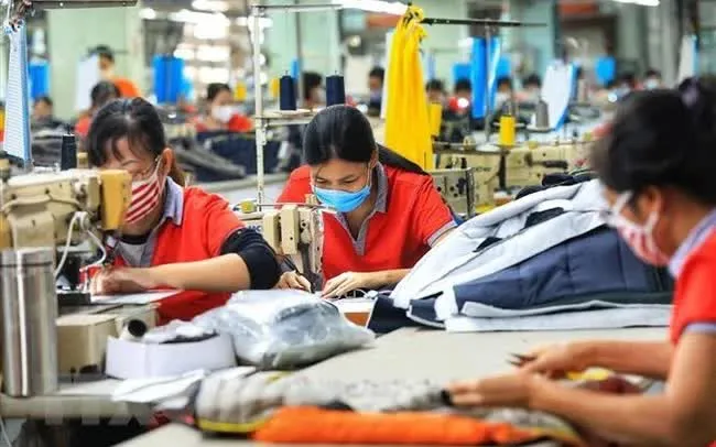 Garment-textile businesses have undergone significant changes but they have made efforts to diversify their export products with 36 items this year. (Photo: VNA)