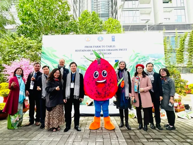 Delegates at the workshop