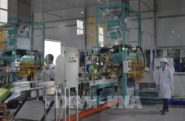 Processing and manufacturing enterprises have forecast better performance in Quarter 2. (Photo: VNA)
