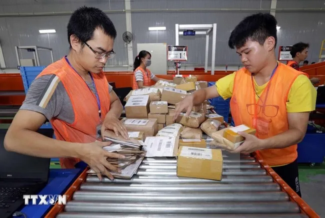 Goods classification at the ecommerce platform Lazada. (Photo: VNA)