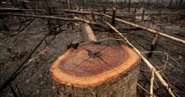 Illustrative image (Photo: Reuters)