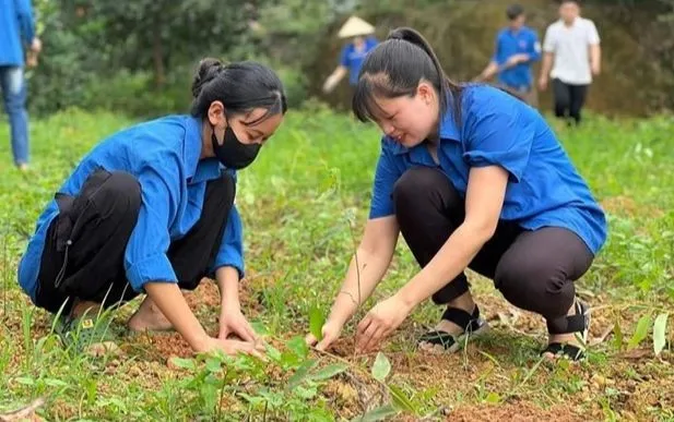 Various activities are carried out by the youth unions at all levels during the Youth Month. (Photo: VNA)