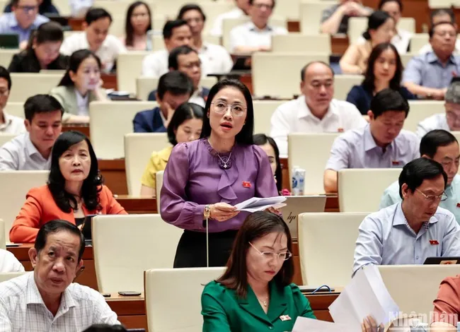 A National Assembly deputy speaks at the meeting. (Photo: NDO)