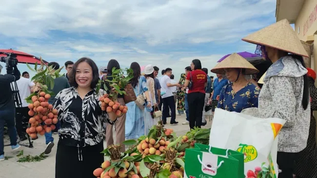 Tourists experience harvesting and tasting lychee in Thanh Son Commune, Thanh Ha District.