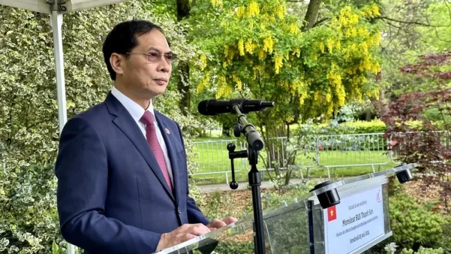 Foreign Minister Bui Thanh Son speaks as he pays tribute to President Ho Chi Minh at his statue in Montreuil city. (Photo: VNA)