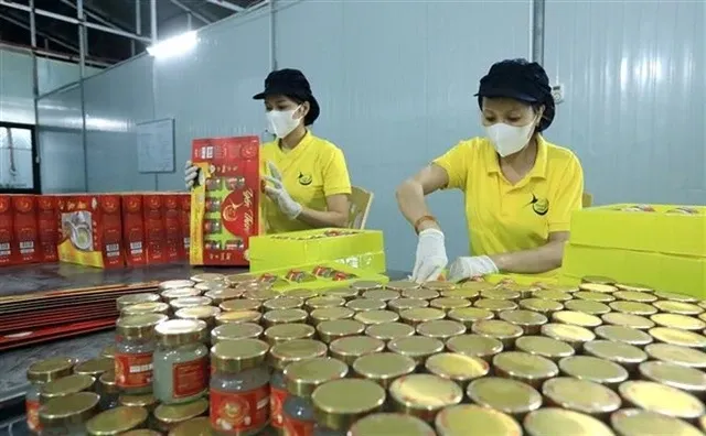 Illustrative image (Photo: VNA)